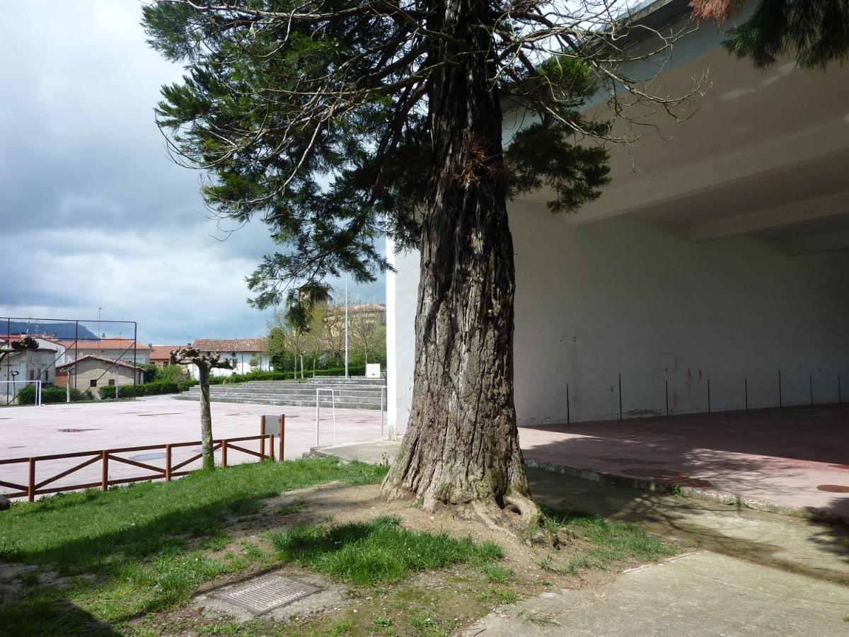 Apartamentos Rurales Imaz Etxea - Urbasa Olazagutía Szoba fotó
